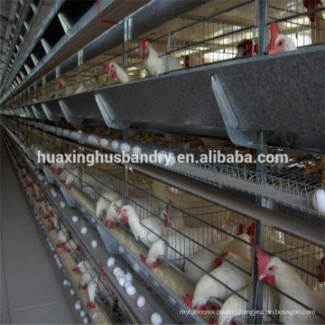 Chicken cage design different types of poultry house